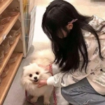 全民格斗王手游下载